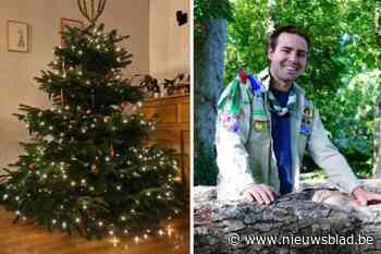 Kerstmis is voorbij, maar deze scouts verkopen nog kerstbomen tegen halve prijs