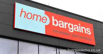 Home Bargains shoppers 'need' £3.99 answer to £95 product