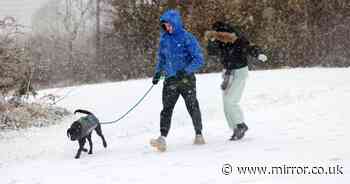 Snow maps show half of UK covered within next 48 hours with 20cm coming for some