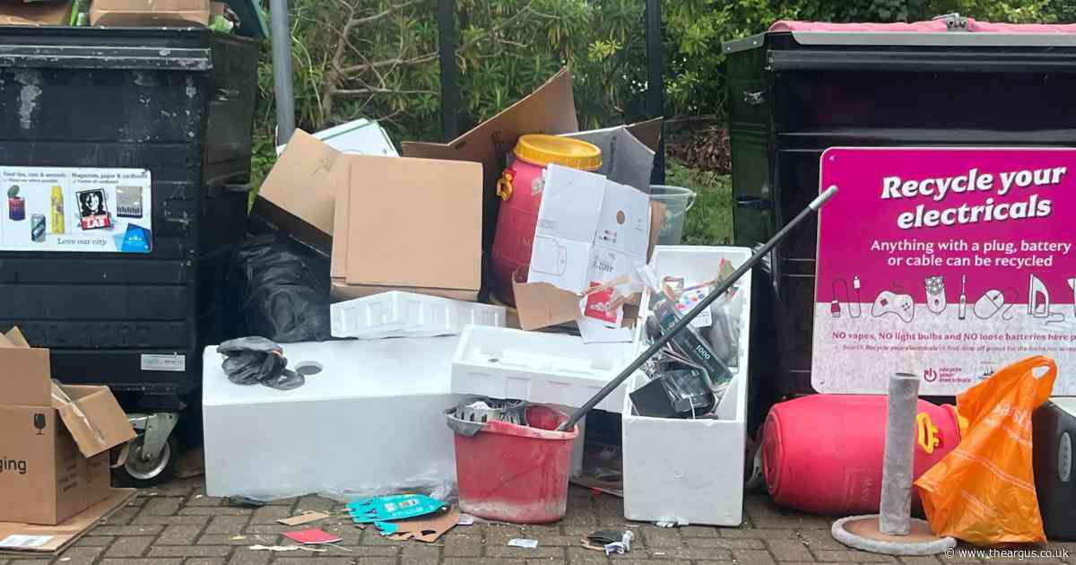 TV and scratching post among items dumped around park's overflowing bins