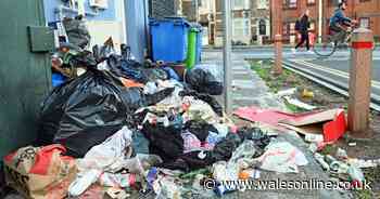 'What is the matter with people?' The amount of rubbish dumped on Cardiff streets