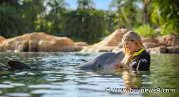 Discovery Cove offering 40% off visits for new year