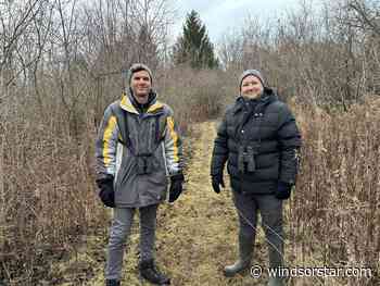 Mild winter brings high Windsor-Essex Christmas bird count