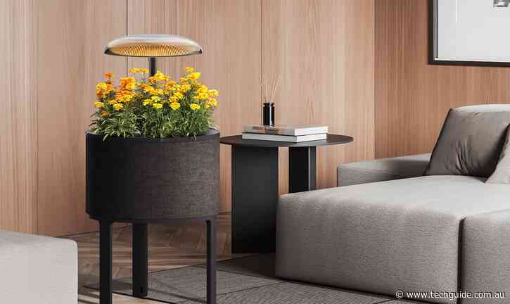 LG can help you develop a green thumb with its new indoor gardening appliance