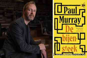 RECENSIE. ‘De bijensteek’ van Paul Murray: een complexe Ierse familie