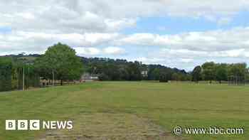 Dogs and people injured during attack in field