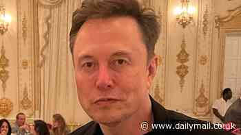 Elon Musk is 'renting' $2,000 a night Mar-a-Lago cottage so he can spend hours every day with Donald Trump