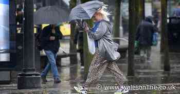 Severe New Year's Eve weather forecast: Live updates as Wales' gears up for celebrations