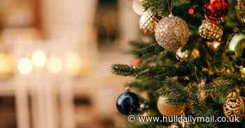 Support Hull's Dove House Hospice by recycling your Christmas tree