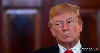 Donald Trump loses appeal against agony aunt E Jean Carroll sexual abuse verdict