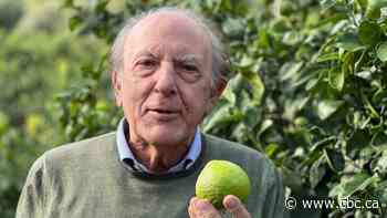 'Miracle of nature': Bergamot's fragile revival in southern Italy