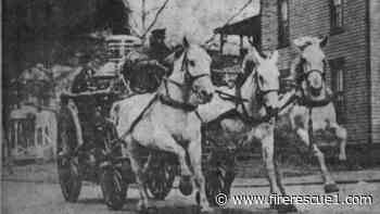 D.C. FD marks 100th anniversary of last horse-drawn apparatus response