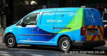 British Gas, EON, EDF and OVO customers get £148 with one simple change