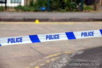 Six arrested after 1,000 cannabis plants discovered inside Hull property