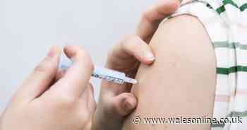 Wales health boss' 'never too late' warning over flu