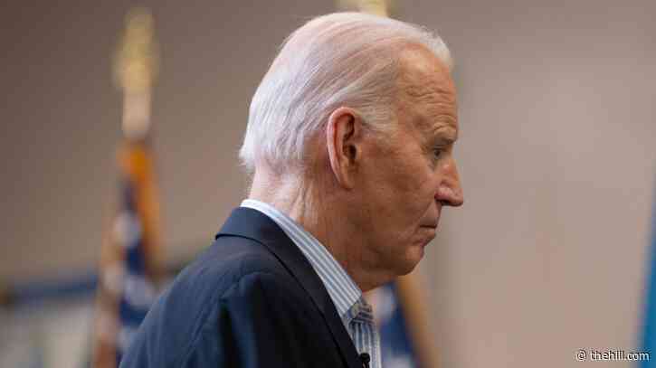 Unlawful border crossings hit lowest level of Biden admin in November