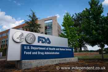 FDA begins testing raw cheese for bird flu