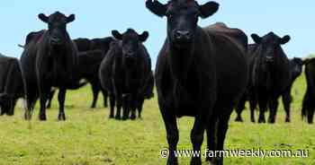 Producers doing it for profit not the environment: ACCU beef method canned