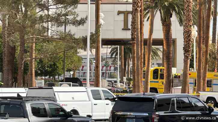 Firework mortars, gas cannisters stuffed inside Tesla that exploded outside Trump's Las Vegas hotel