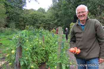 Start zelf met een ecologische moestuin