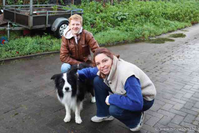 Titus, een vierjarige Bordercollie was 28 uur op de vlucht voor het nieuwjaarsvuurwerk. Baasje coördineerde zoekactie vanuit Australië