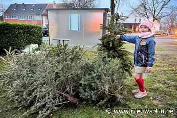 Landelijke Gilde organiseert weer kerstbomeninzameling in plaats van verbranding