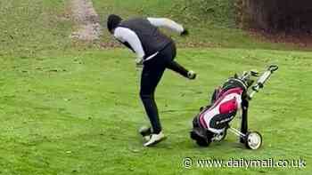 Is that a birdie? Moment magpie attacks golfer and leaves him 'screaming like a little girl' in fight on the fairway