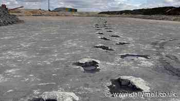 UK's biggest dinosaur footprint site is discovered with hundreds of massive tracks from 166 million years ago