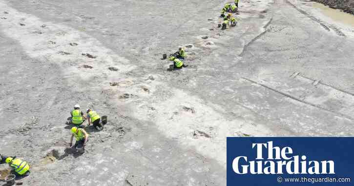 Trackways of large dinosaur footprints found in Oxfordshire quarry