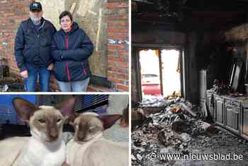 Verwoestende brand legt woning van Petra (51) en Eddy (57) in as: 24 katten en honden overleven het niet