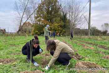 Natuurpunt Markvallei plant nieuw bos aan