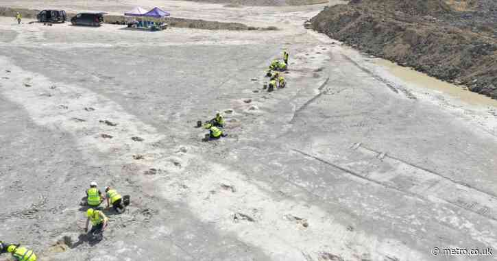 Huge 166,000,000-year-old dinosaur footprints discovered in Oxfordshire