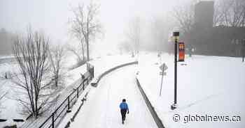 From industrial highway to developer’s paradise, Montreal’s Lachine Canal turns 200