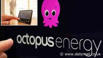 We had a smart meter installed by Octopus... the cost of making a cuppa went from 1p to £5 overnight