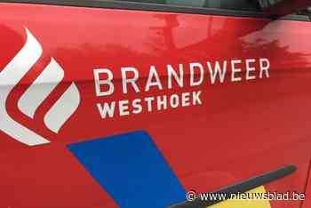 Brandende schouw in woning snel onder controle