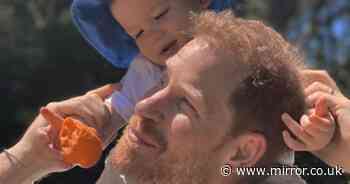 Prince Harry spotted with lookalike son Prince Archie on fun day out in now-deleted snap