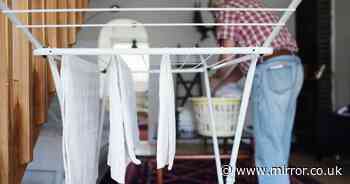 'Five minute' laundry hack will dry clothes and banish condensation