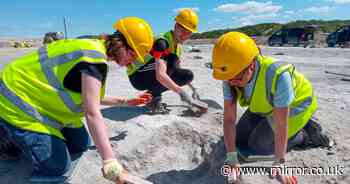 Britain's biggest-ever dinosaur highway with about 200 footprints discovered in Oxfordshire