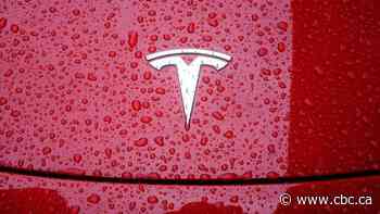 Tesla has sluggish start to the year with first annual sales decline in nearly a decade