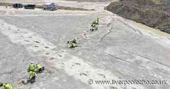 Experts find 200 footprints from millions of years ago in quarry