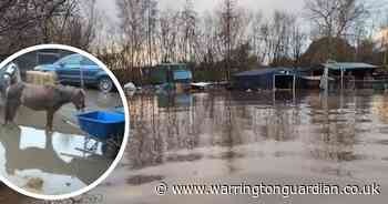 Fundraiser launched as floods ruin stables and drowns chickens