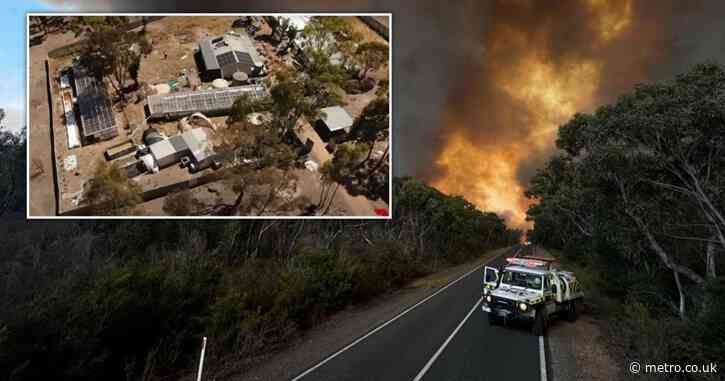 Wanted man allegedly caught fleeing wildfire with trucks full of cannabis