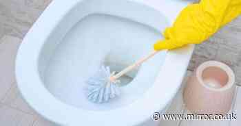 'Correct' way to clean a toilet - and why you've been doing it wrong