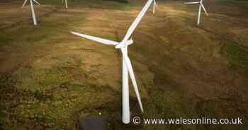 Wind turbines developer wants to build hundreds in Wales by 2030