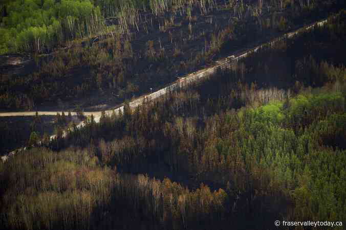 Canada primed for more severe wildfire days, driven by dry forest fuel: study