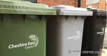 New bin collection rules for every household in England possible in 2025