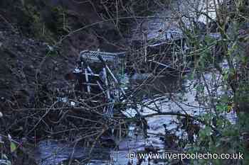 'Rats having a field day' as rubbish piles up in river