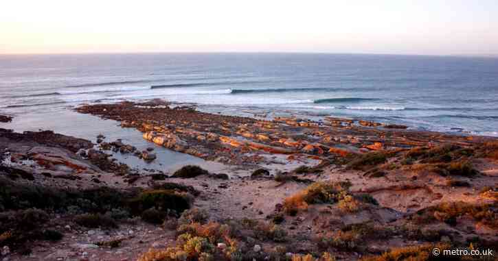 Fears over shark attack after surfer disappears in water