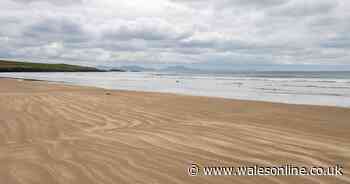 The vast untouched beach with dreamy mountain views right next to the 'best place to live'