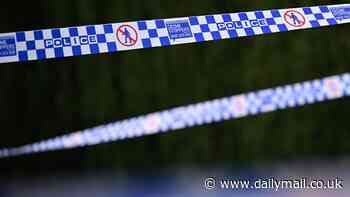 Body of a boy found in river after desperate search was launched in Victoria's east